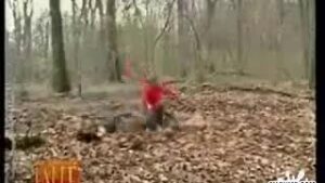 Broma en el Parque